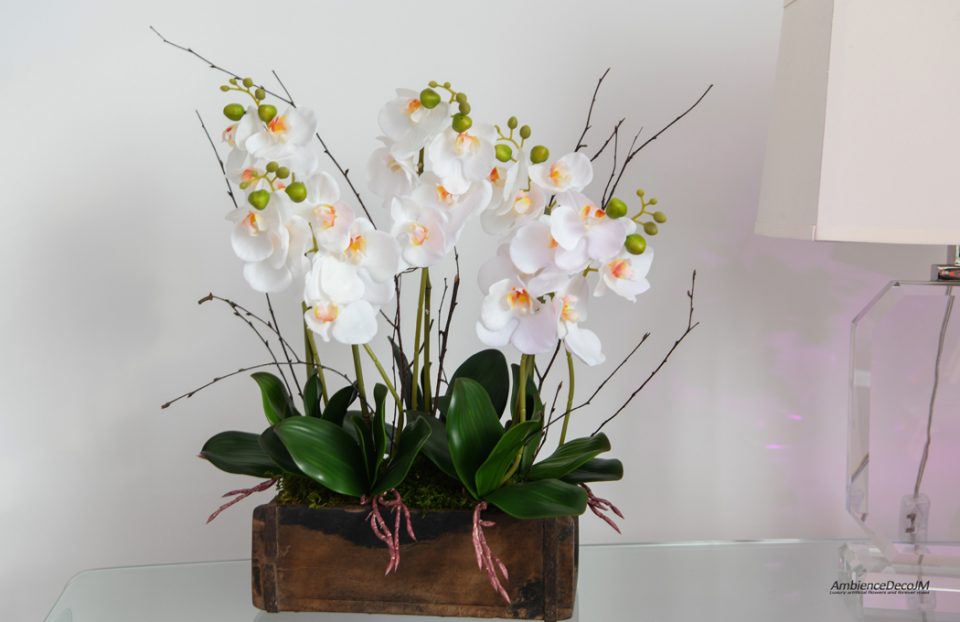Phalaenopsis orchids in a wooden trough