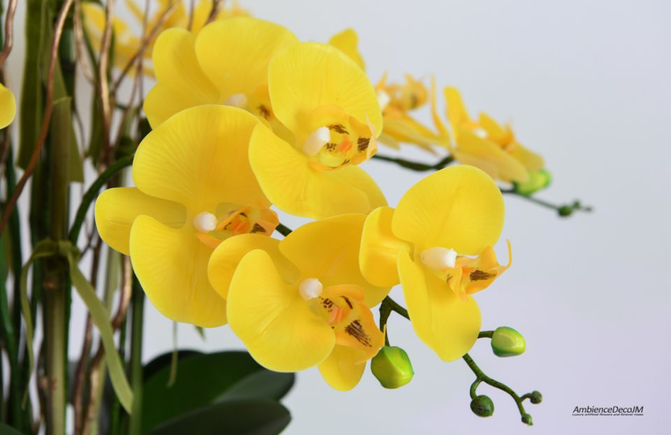 Real Touch Yellow Orchids in Vase