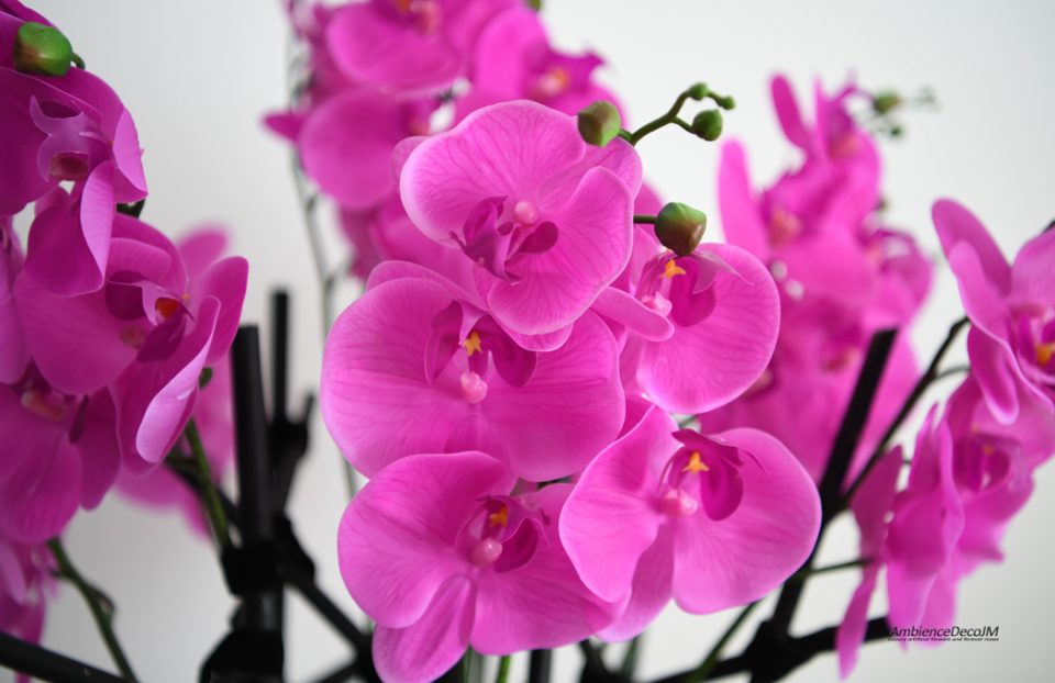 Hot pink orchid arrangement