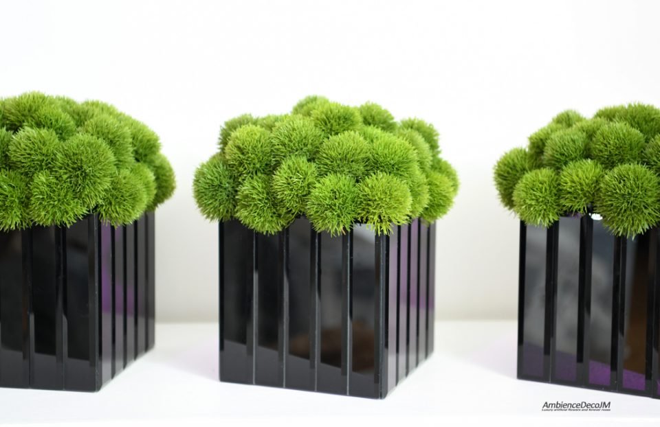 Luxury dianthus arrangement