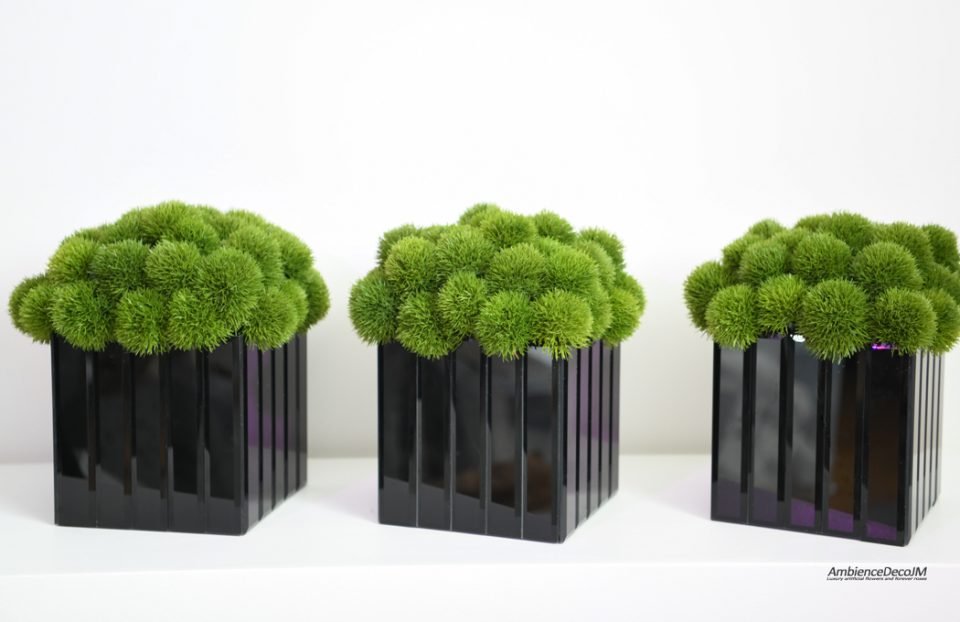 Luxury dianthus arrangement