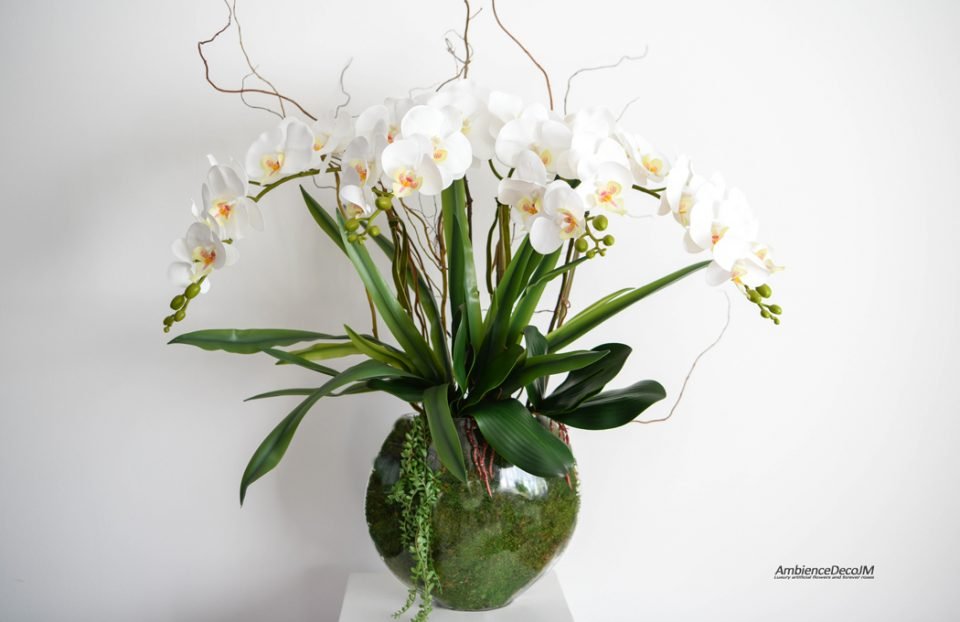 `Oval Vase Orchid Arrangement