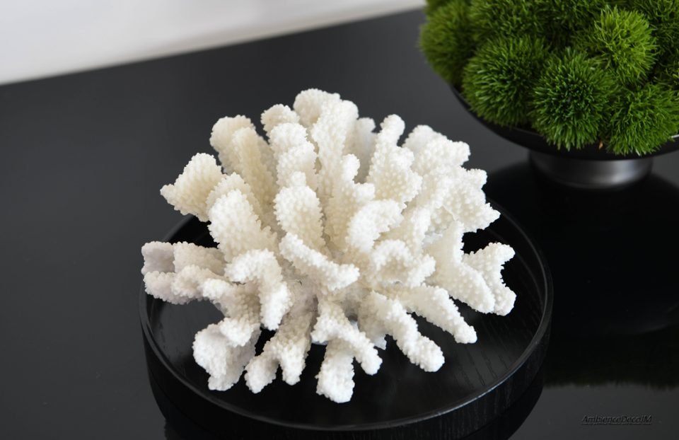 Coral objet