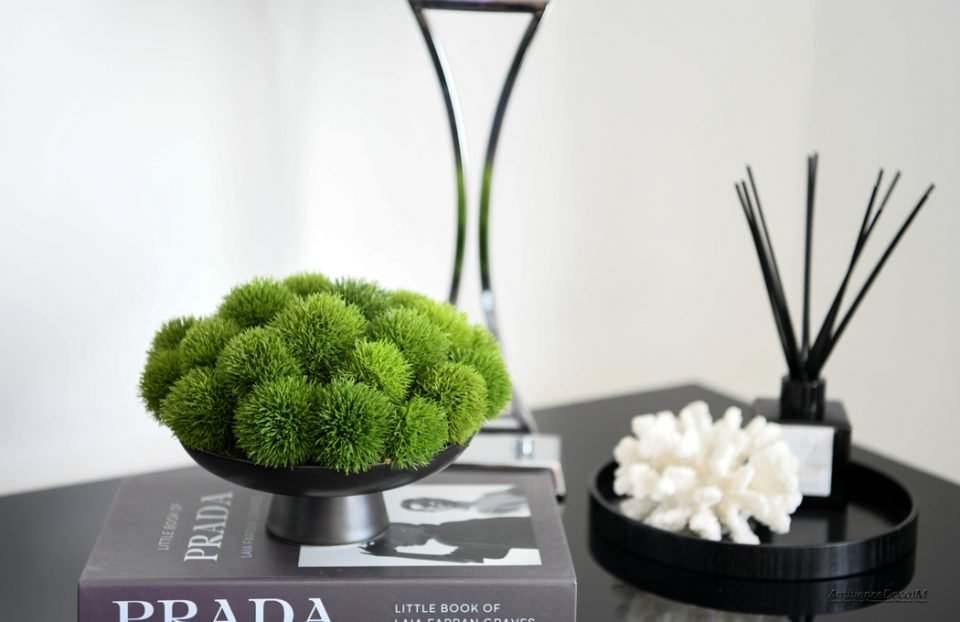 Green Dianthus in a Ceramic Footed Bowl