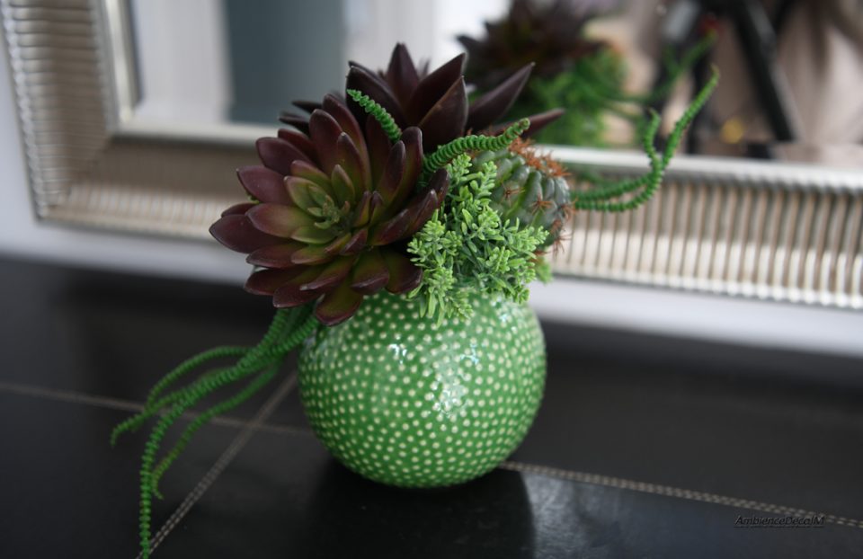 Succulent Garden in green vase
