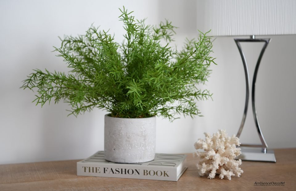 Realistic Potted Asparagus Fern Plant