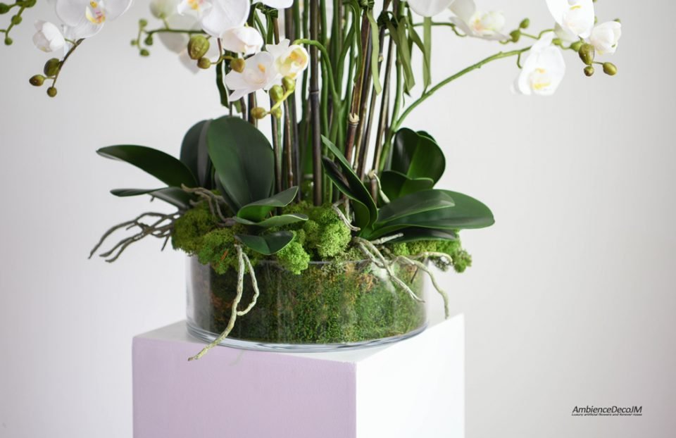 Tall Luxury Orchid Arrangement
