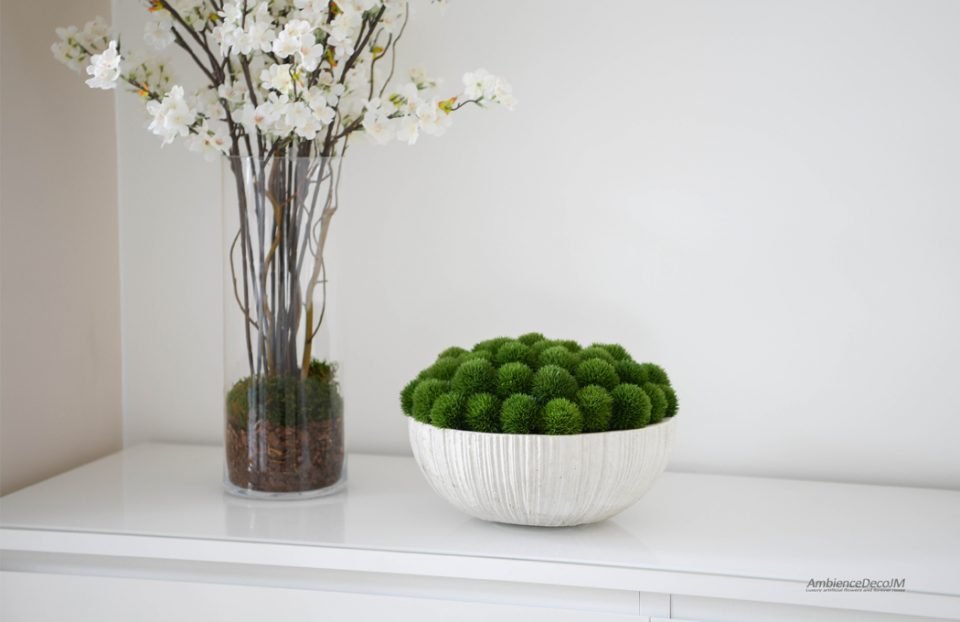 Luxury green dianthus in a white bowl