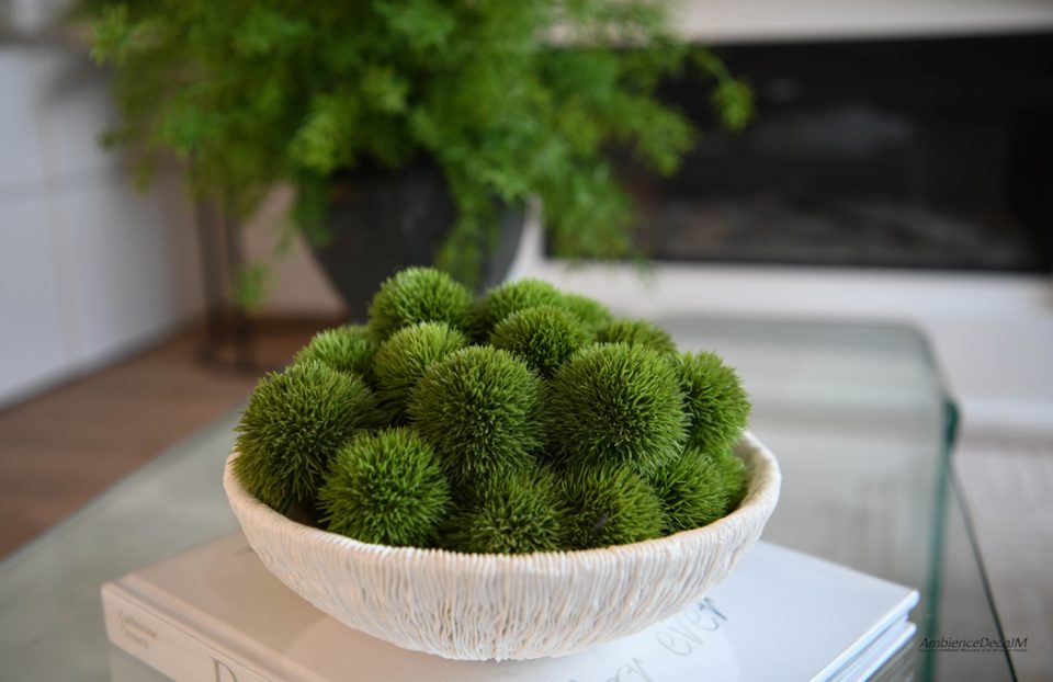 Dianthus in White Resin Bowl