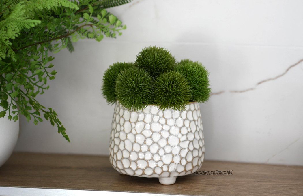Green Dianthus Arrangement in a White Ceramic Pot