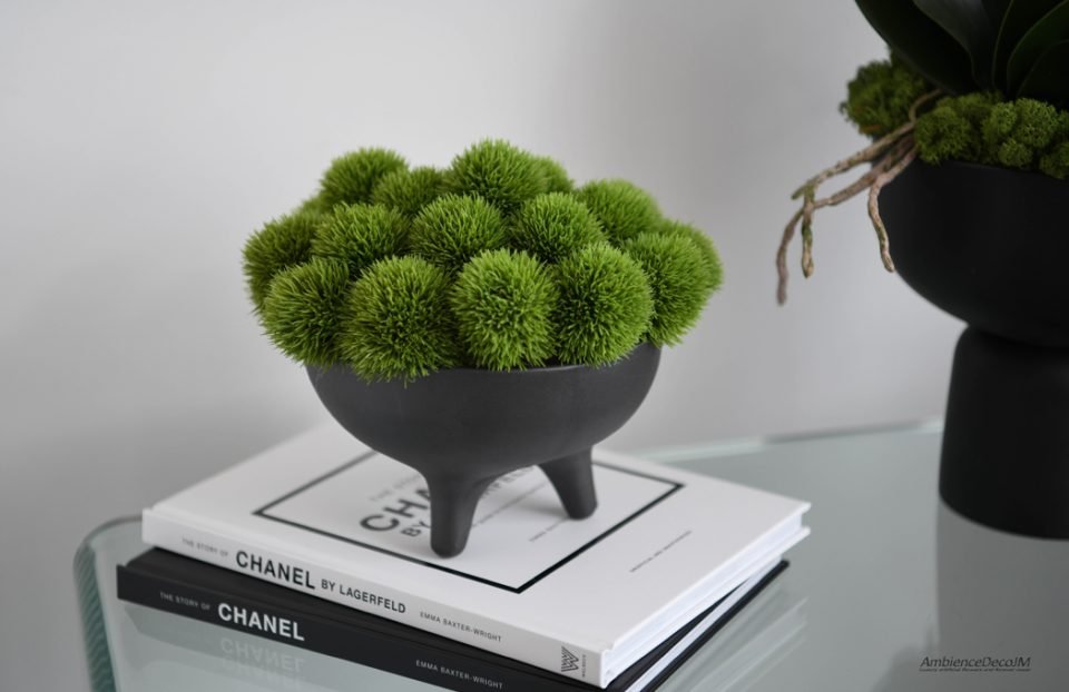 Green Dianthus in Black Ceramic Tripod Bowl