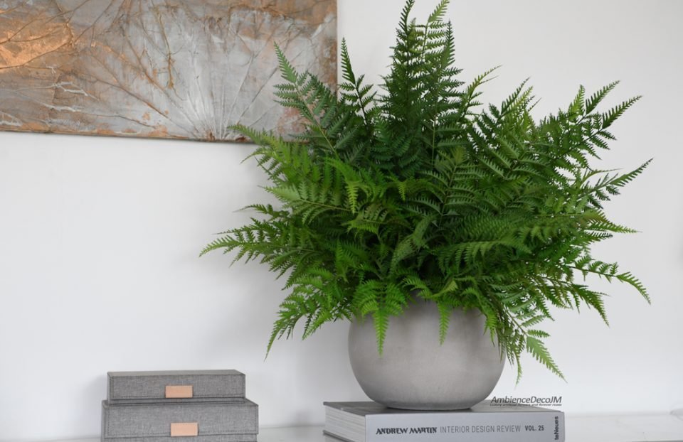 Luxury Faux Fern in Cement Pot