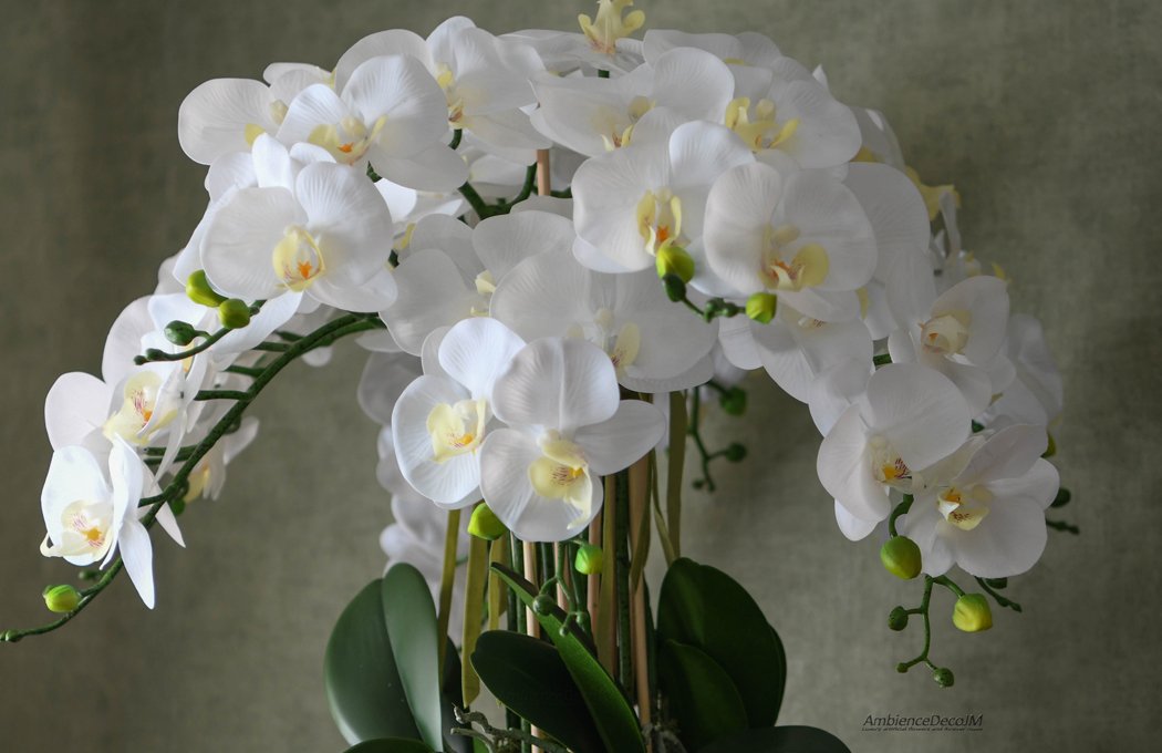 1cConsoleTableOrchidArrangementLLW Console Table Orchid Arrangement